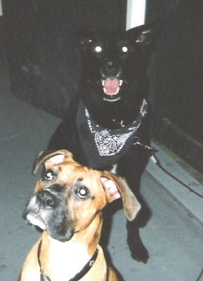 Hanging out with Big Bro