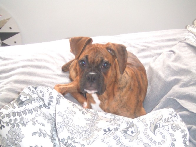 Haning out in bed =)