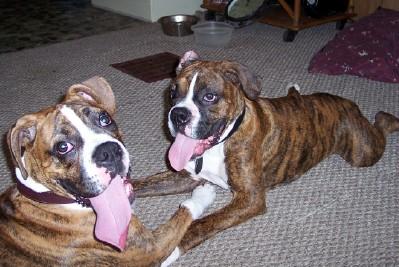 Hank and Tyson