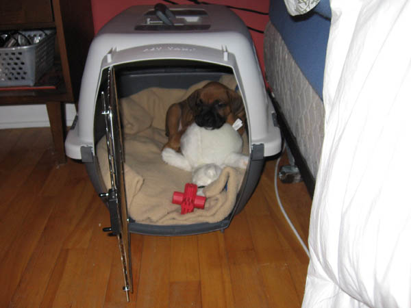 Hank getting ready for Bed