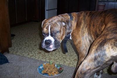 Hank's first birthday!
