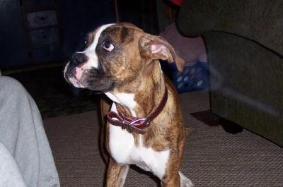 hank's friend tyson