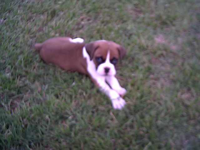 Hannah Enjoying the Weather