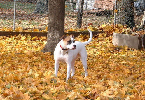 Hannah - Fall 2006