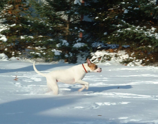 Hannah In Snow