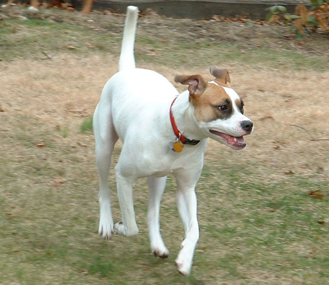 Hannah Running