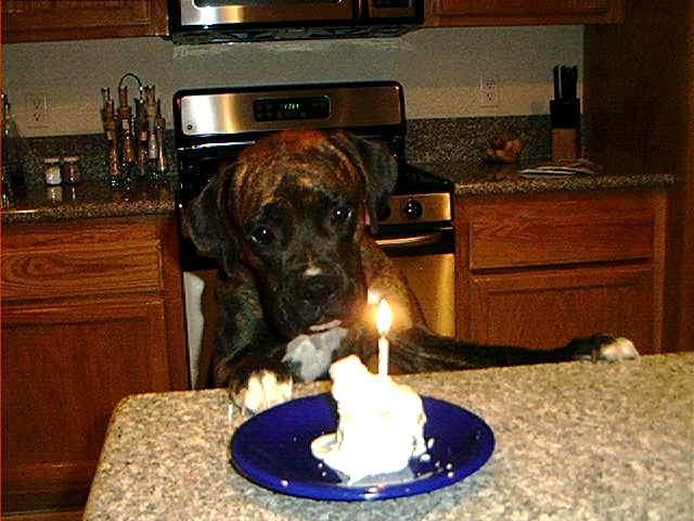 Happy 1st Birthday Jenna