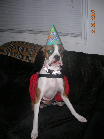 Happy 1st Birthday. (with her holter on)