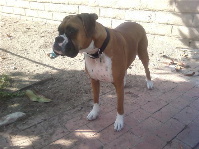 Happy 2 Year Old Birthday Samantha