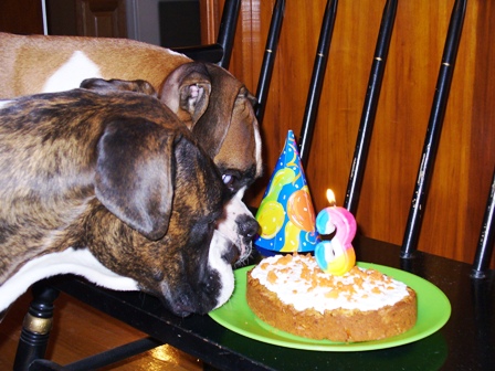 Happy 3rd Bday Cassius!