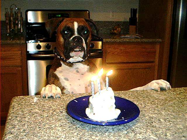 Happy 3rd Birthday Jake!