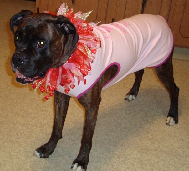 Happy 4th Bday Briseis