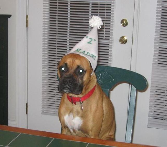 Happy B-Day to Madi !!!