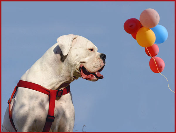 Happy birthday Avra!!