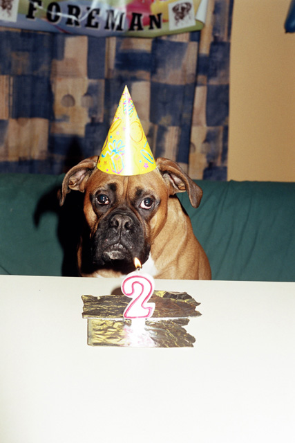 Happy Birthday