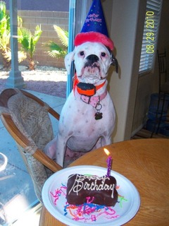 Happy birthday!