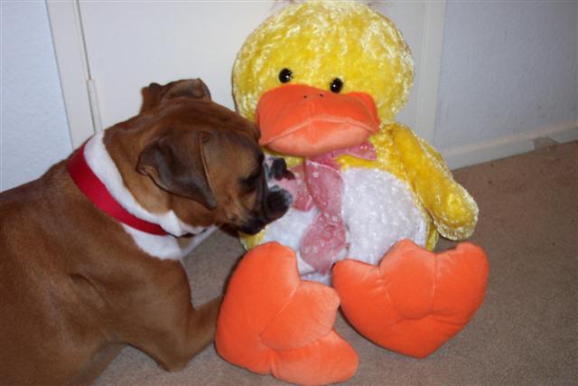 Happy Easter Samantha