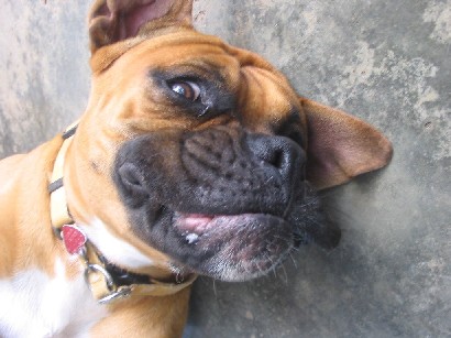 Happy Face