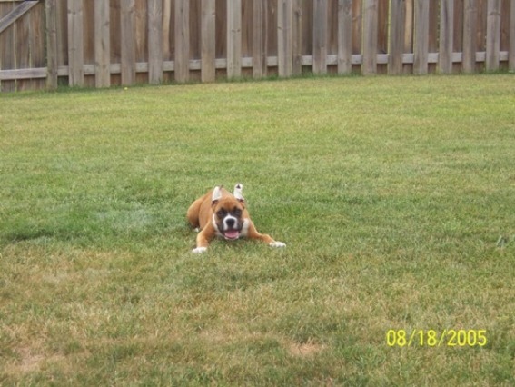 Happy Face