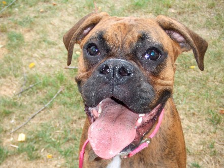 Happy Girl!