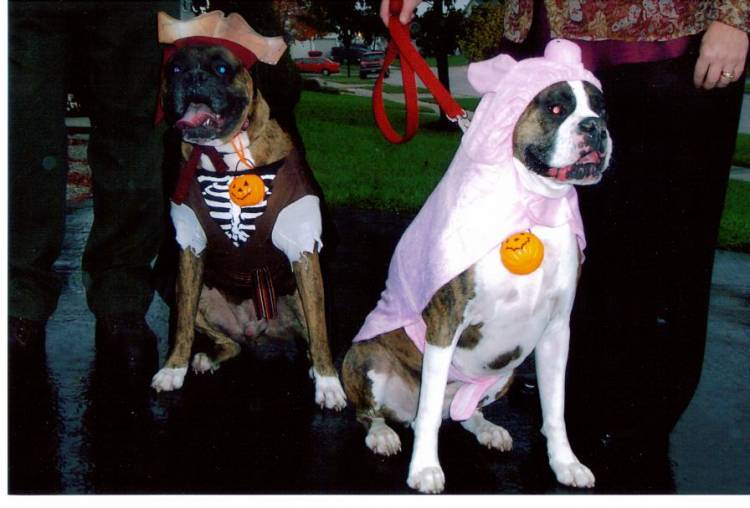 Happy Halloween! Although we aren't very happy!