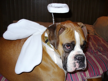 Happy Halloween my angel!