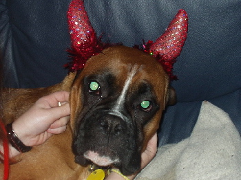 happy halloween
