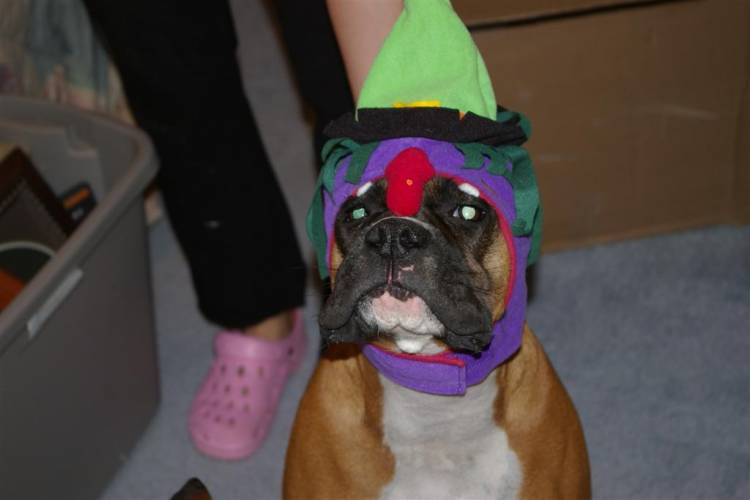 Happy Halloween?