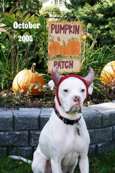 Happy Halloween!
