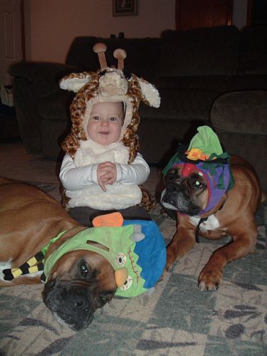 Happy Halloween