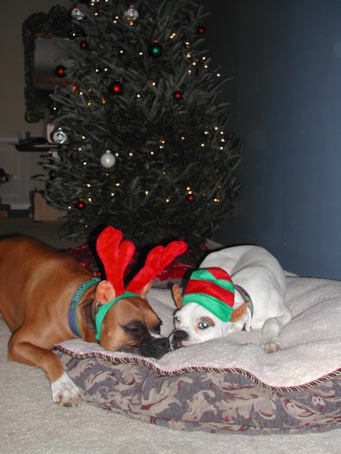 happy holidays 2006