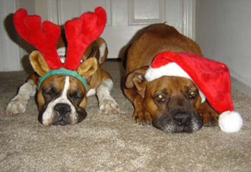Happy Holidays
