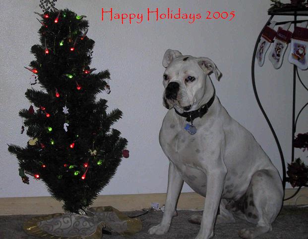 Happy Holidays