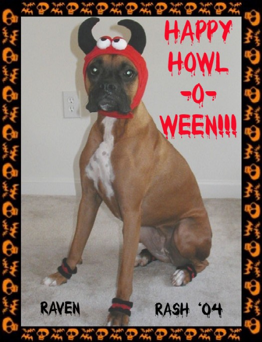 Happy Howl-o-ween