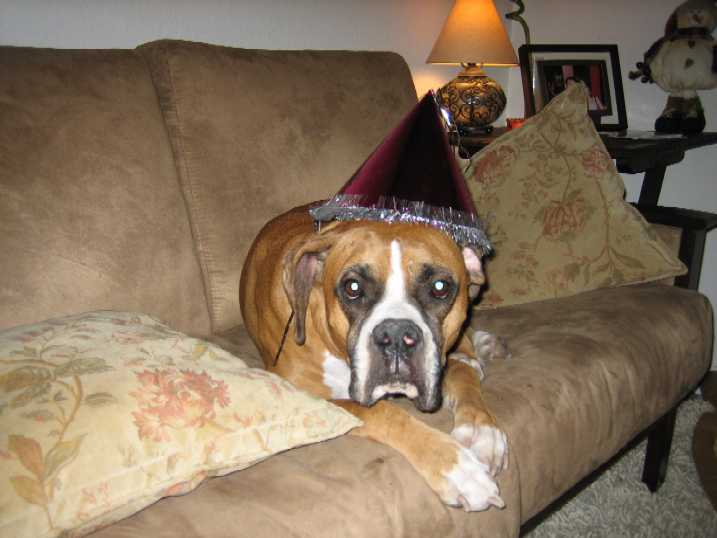 Happy New Year From Mac!