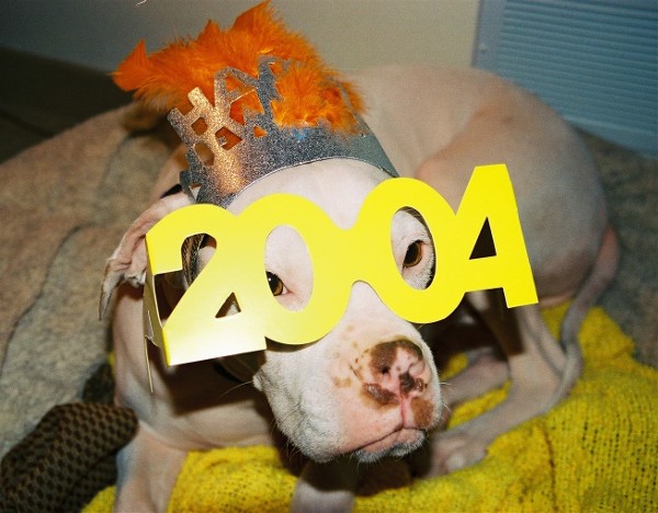 Happy New Year