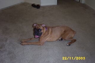 Happy Roxy!