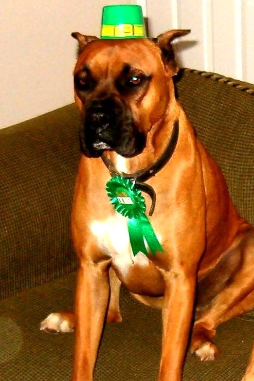 Happy St. Patrick's Day