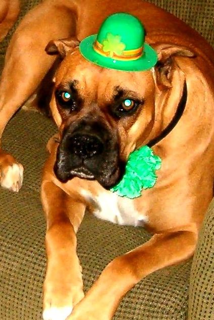 Happy St. Patrick's Day