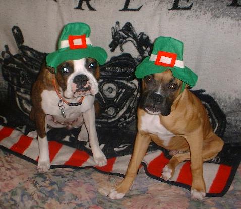 Happy St. Patty Day