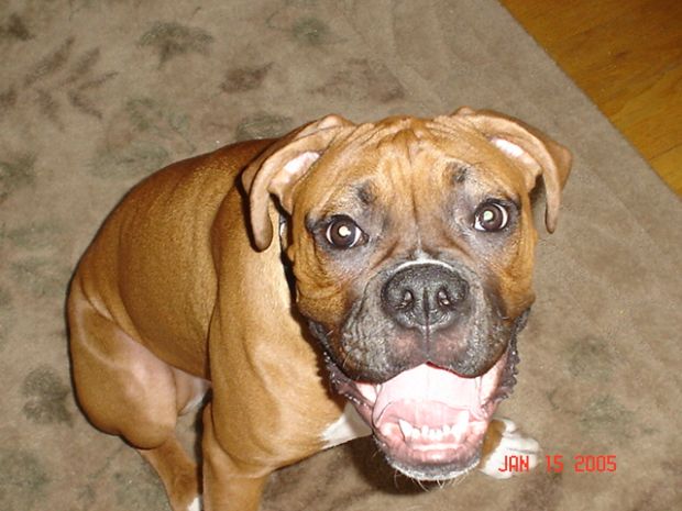 Happy Tyson
