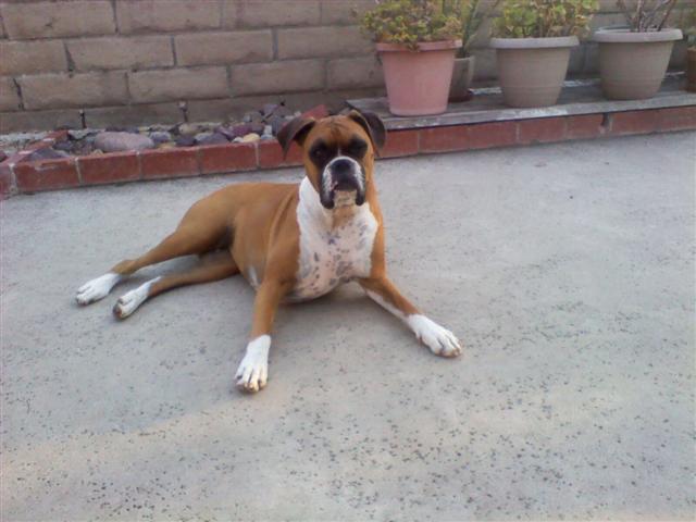 Happy_5_Year_Old_Birthday_Samantha