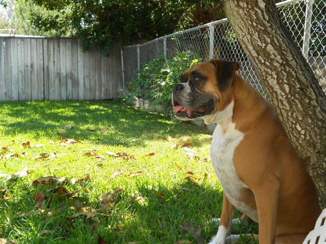 Happy_7_Year_Old_Birthday_Samantha