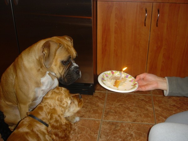 happy_Birth_