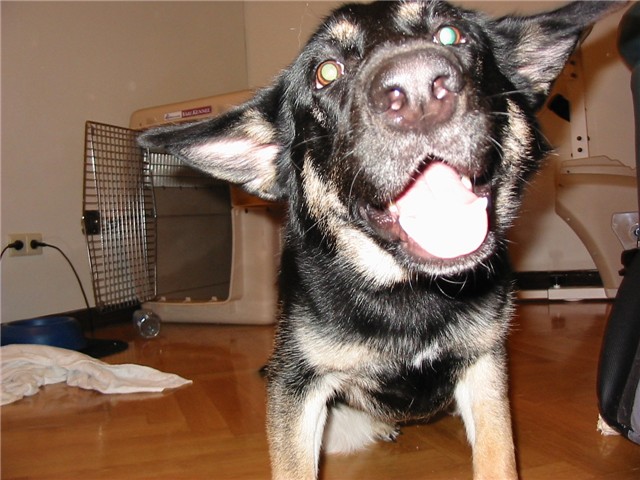 happyxena