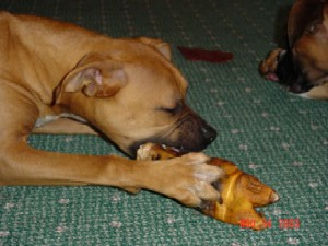 Har and her pig foot....eew!