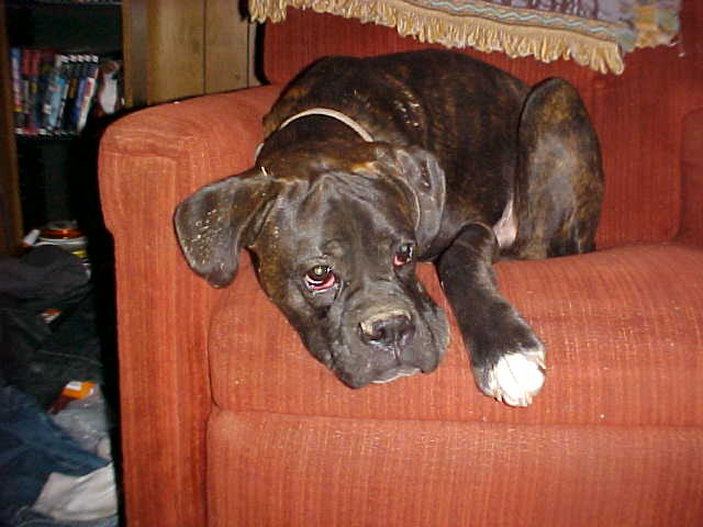 Hard day at play
