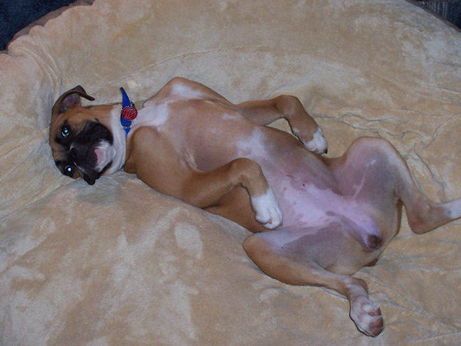 Hard Day at Work