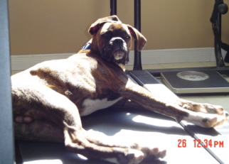 Hard day exercising!