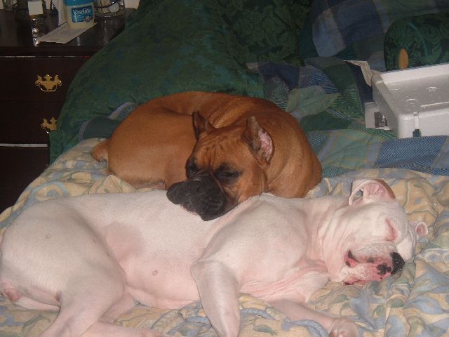 Hard day playing with the cuz